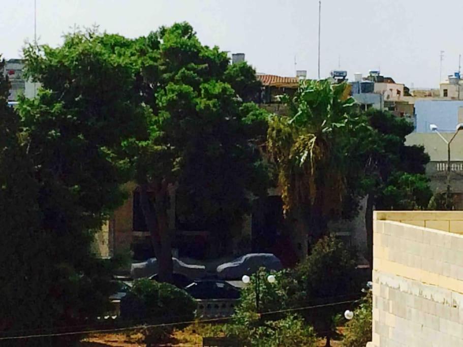 May Flower: Modern Flat Close To Airport/Bus Stops Tarxien Dış mekan fotoğraf